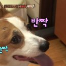 무지개다리 이미지