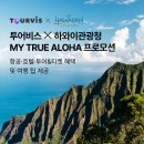 투어비스_항공