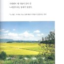 김군자 시집 / 우포의 아침 이미지