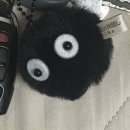 꽃방카라 이미지