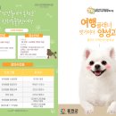 여행플래너