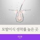 모다올의원 이미지