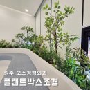 원주 조화조경, 오스정형외과 병원 조화인테리어로 쾌적한 로비 연출 후기