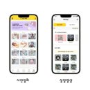 제제캠프 이미지