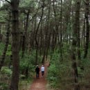 병국농장 이미지