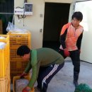 심가네 농장 이미지