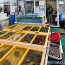 동천동주민센터주민사랑방 | 태안 모항항 수산시장 싱싱한 해산물 회센터 맛집 수산물직판장