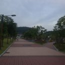 금호공원 맞은편 이미지