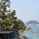 강원도 양양 가볼만한곳 휴휴암 바다사찰 국내 여행지 추천