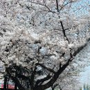 덕진구청 이미지