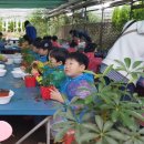 송수초등학교병설유치원 이미지