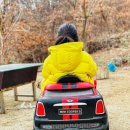 냥이 주택 이미지