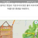 제182차 정기산행 원주 치악산 둘레길 2코스 구룡길 이미지