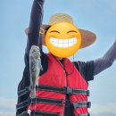 킹콩좌대 | 안면도 낚시터 킹콩좌대낚시 방문후기입니다