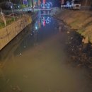 모차모텔 이미지