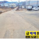 구장-상기간 이미지