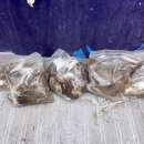 구매항펜션 이미지