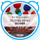 코로나19 극복을 위한 군민위안행사 | [SNS 홍보단] 청도군민들의 화합 행사 청도 유등제 ::: 청도천 파랑새다리에서의 청도 유등제 후기