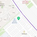 마신 매화반점 이미지