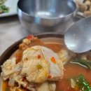 경남건강원 - 창녕군 우포1대로 1610 | 창원 용원 진해 물회 맛집 밀레니엄횟집 후기