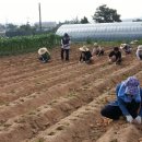 성모농장 이미지