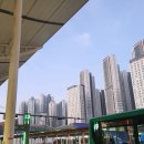 여자 혼자 1박2일 순천 뚜벅이 여행 1일차 (광명역-순천역-청춘수제버거-순천만국가정원-순천만습지)