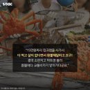 기가마트 이미지
