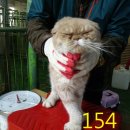 남동대로 이미지