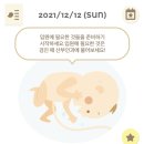유가장 이미지