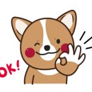 만년교(코젤병원) 이미지