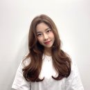 빈헤어비스