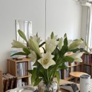 블로그 시즌 이미지