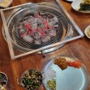비가우돈