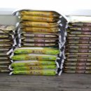 진안읍행정복지센터 이미지