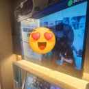 아라노래연습장 이미지