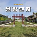 대례 | 서울 성북구 여행 선잠단지 성북선잠박물관