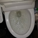 수원-0482 이미지