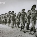 황실이불