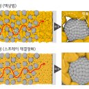이(LEE)안경 이미지