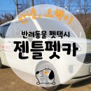 펫택시펫카 | 안양 군포 의왕 수원 과천 펫택시 젠틀펫카