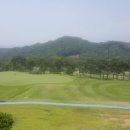 홍진골프연습장 이미지