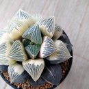 호반농장 이미지