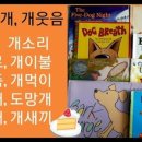 모아 dog 이미지