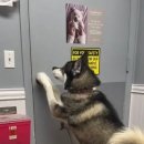 형제동물병원 이미지