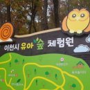 이천시 유아숲체험원 이미지