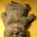 몽글몽글 이미지