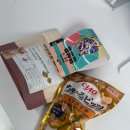 멍냥펫24양원역점 | 24시간 무인 펫샵, 멍냥의 민족