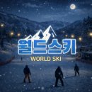 강촌이모네 | 엘리시안강촌 리프트권 혜택 정보 및 후기