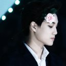 오바 Daum카페