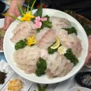 외포회집 이미지